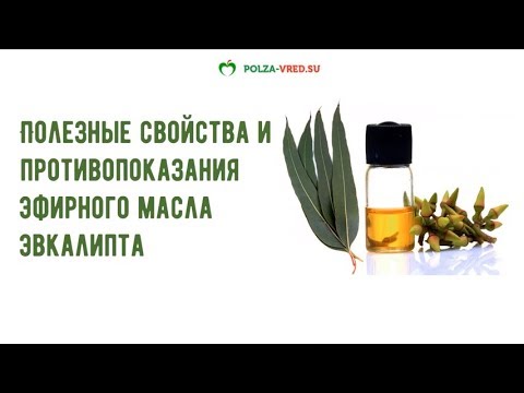 10 главных полезных свойств эвкалиптового масла