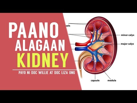 Paano Alagaan ang KIDNEY - ni Doc Willie at Liza Ong #298b