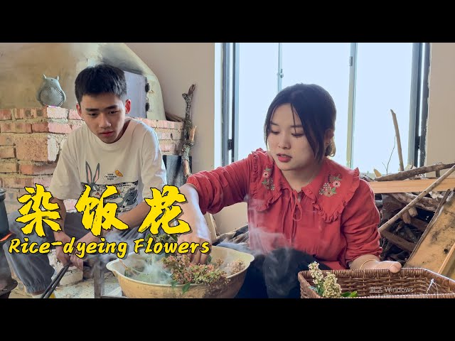 可以把米饭染得金黄的染饭花! | Rice-dyeing Flowers【叫我阿霞 Channel】 class=