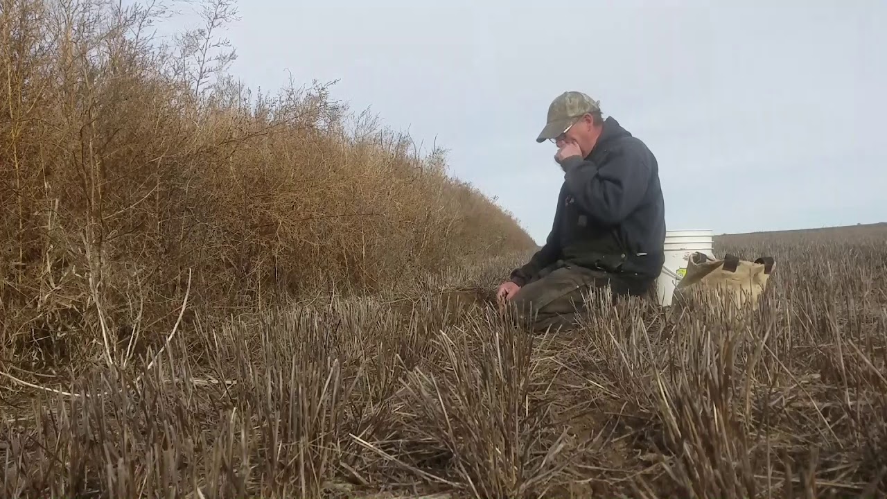 Making a trail set in a crop edge YouTube