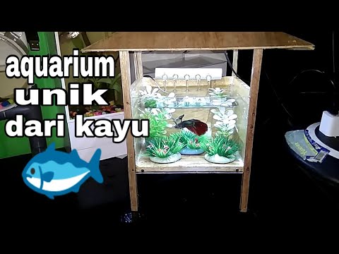 iseng iseng bikin aquarium  mini  unik dari kayu  YouTube