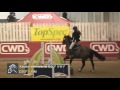 Keysoe International - Saturday - CSI 2* 1.15m