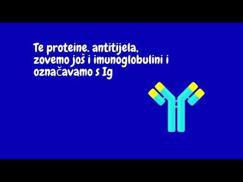 Video: Razlika Između Imunoglobulina I Antitijela