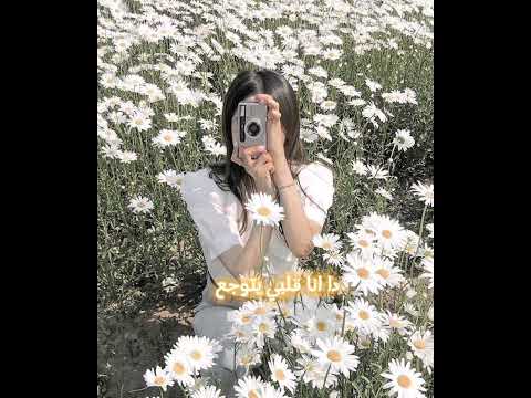 دلعني يا ود كدا