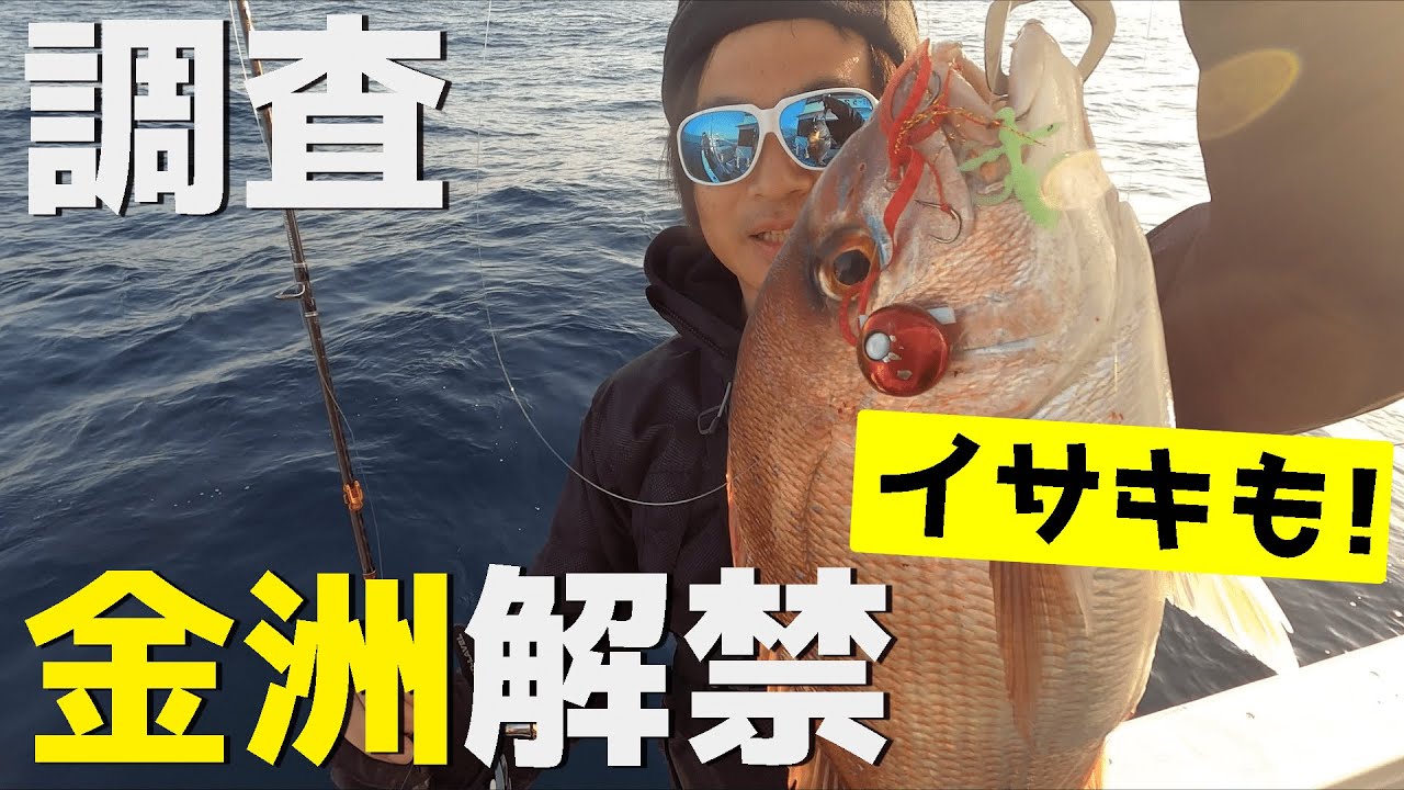 We're heading out to Omaezaki to investigate the fish paradise of