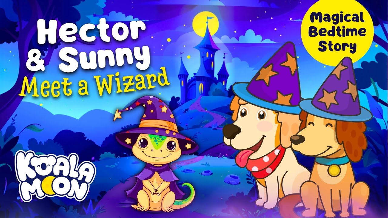 Hector & Sunny Meet A Wizard 🧙‍♂️ Bedtime Stories to Help Kids Sleep ...