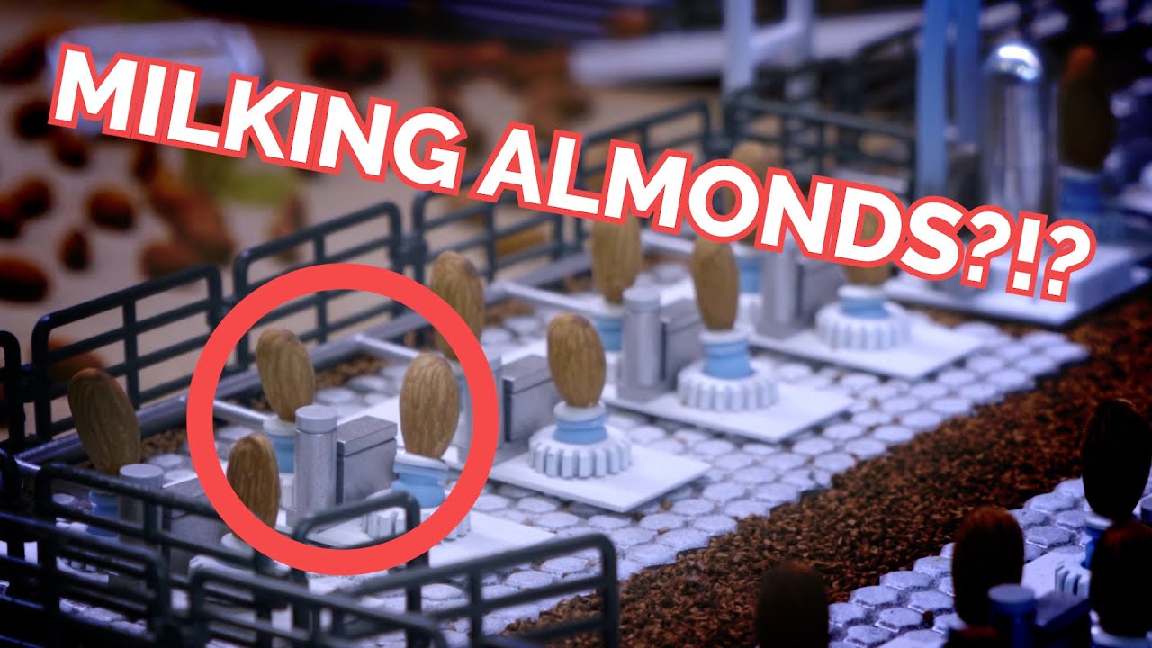 Nut Milking 2 The ReMilkening YouTube