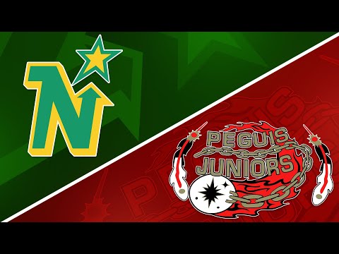 NH North Stars VS Pegius Juniors (March 26, 2022)