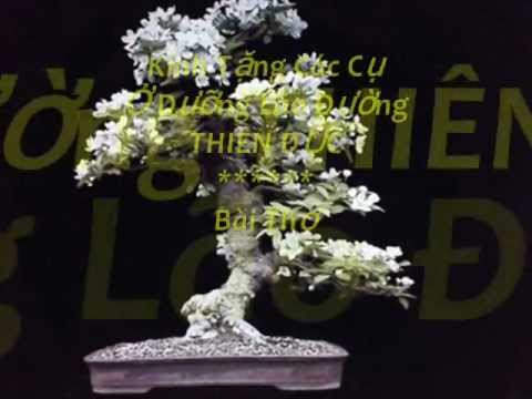 Video NÚi ĐÔI BàI Thơ Bay Cùng Năm Tháng.wmv - youtube