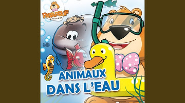 Pom pom pom la pieuvre
