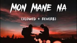 MON MANE NA(SLOWED   REVERB) || @AbirBiswas || MSL LOFI BOY