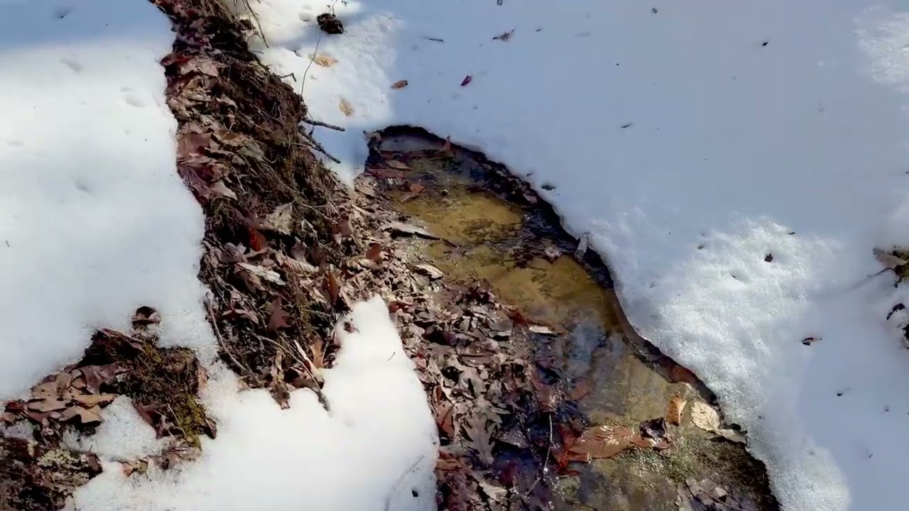 Stony Hollow @ Zaleski State Forest 