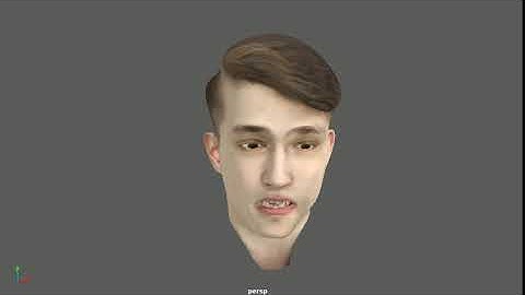 Demo: Face Rig Animations blendshape based