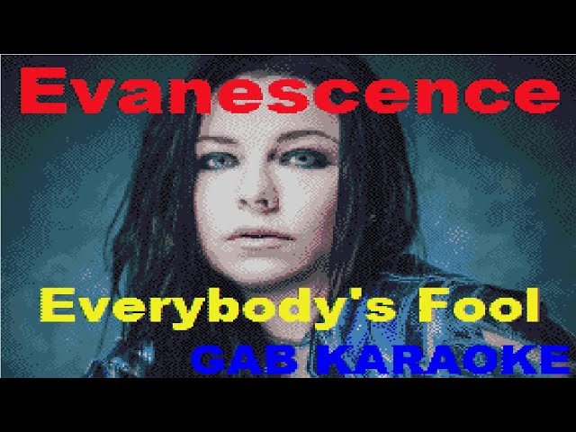 Evanescence - Everybody's Fool - Karaoke Lyrics Instrumental class=