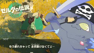 【ティアキン】ガノンド口フを成敗しに来ました！