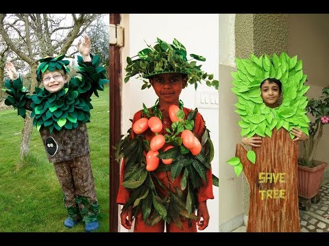 Vídeo: Traje De árbol