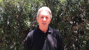 Peak Performance, Flow States: Mindfulness: Peak Performance