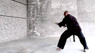 Hapkido Cane teckniques 6-10