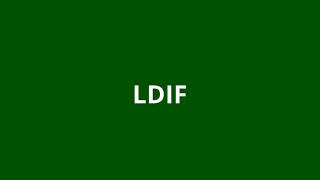 what is the meaning of LDIF