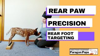 Rear Paw Precision: Rear Foot Target
