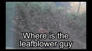 | Stupid Saturday | Leafblower man