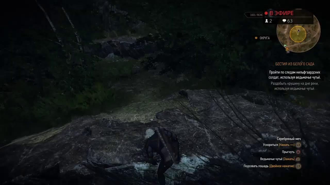 The Witcher Wild Hunt