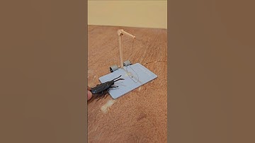 New cockroach trap with new dc motor mechanism 🔥🔥😂😝🪤 #engineering #trap #funny #viralvideo