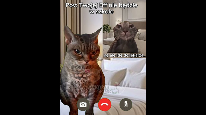 Twojej Bff nie będzie w szkole 🤣 #trend #śmieszne #cats #cat #duet #greenscreen #funny #memy #memes