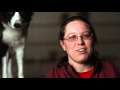 Kristin Sittner Loves to Train Dogs Kristin Sittner Loves to Train Dogs