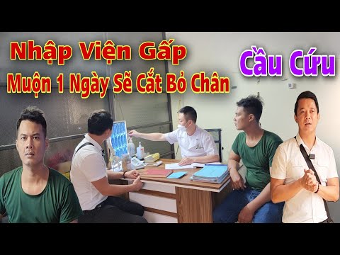 Video: Tham gia Wag-A-Thon và gây quỹ để xem mắt chó bằng cách đi bộ