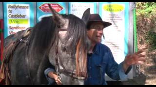 Cruzará España a caballo... para luchar contra la diabetes
