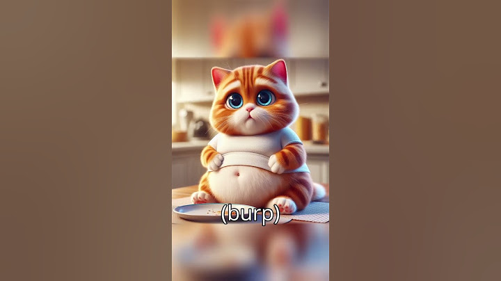 Granny, No More Food, I Will Explode | Cat Story 🙀💣#cat #kitten #granny #catlover #cute #funnycats