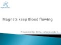 Magnets keep Blood flowing