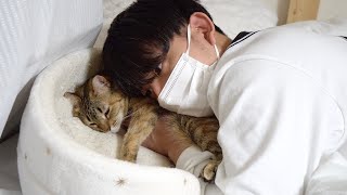猫への最高に変態なスキンシップ