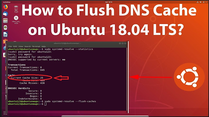 How to Flush DNS Cache on Ubuntu 18.04 LTS?