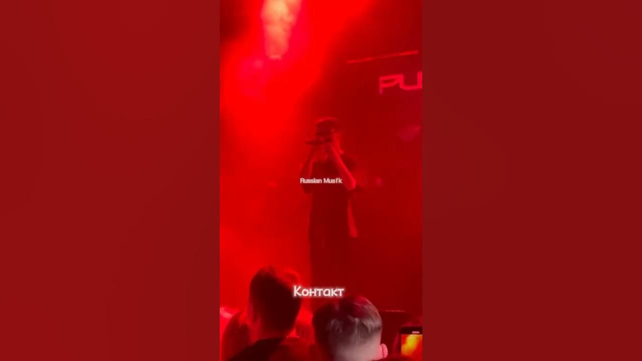 пуссикиллер концерт эстетика. пуссикиллер концерт эстетика. пуссикиллер концерт эстетика. пуссикиллер концерты 2022. пусикиллер москва концерт.