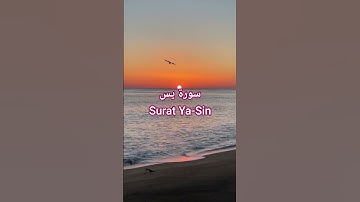 سورة يس Surat Ya-Sin | قرآن. #المصحف #اكسبلور #الشيخ #قرآن #راحة_نفسية