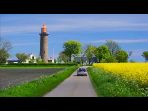 Frühlings Rapsfelder/ Dänemark/ Djursland Frühlings Rapsfelder/ Dänemark/ Djursland