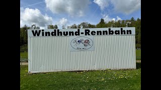 Download Lagu Kenai auf der Hunderennbahn MP3 Download Lagu Kenai auf der Hunderennbahn MP3