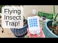 Acoswsi Indoor Fly Trap Review (Worth It?) | Best UV Gnat &amp; Fruit Fly Plug-In [2026]