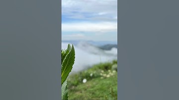 اجمل تلاوه للشيخ ياسر الدوسري ارح سمعك وقلبك قليلاً #سورة_الروم #ياسر_الدوسري