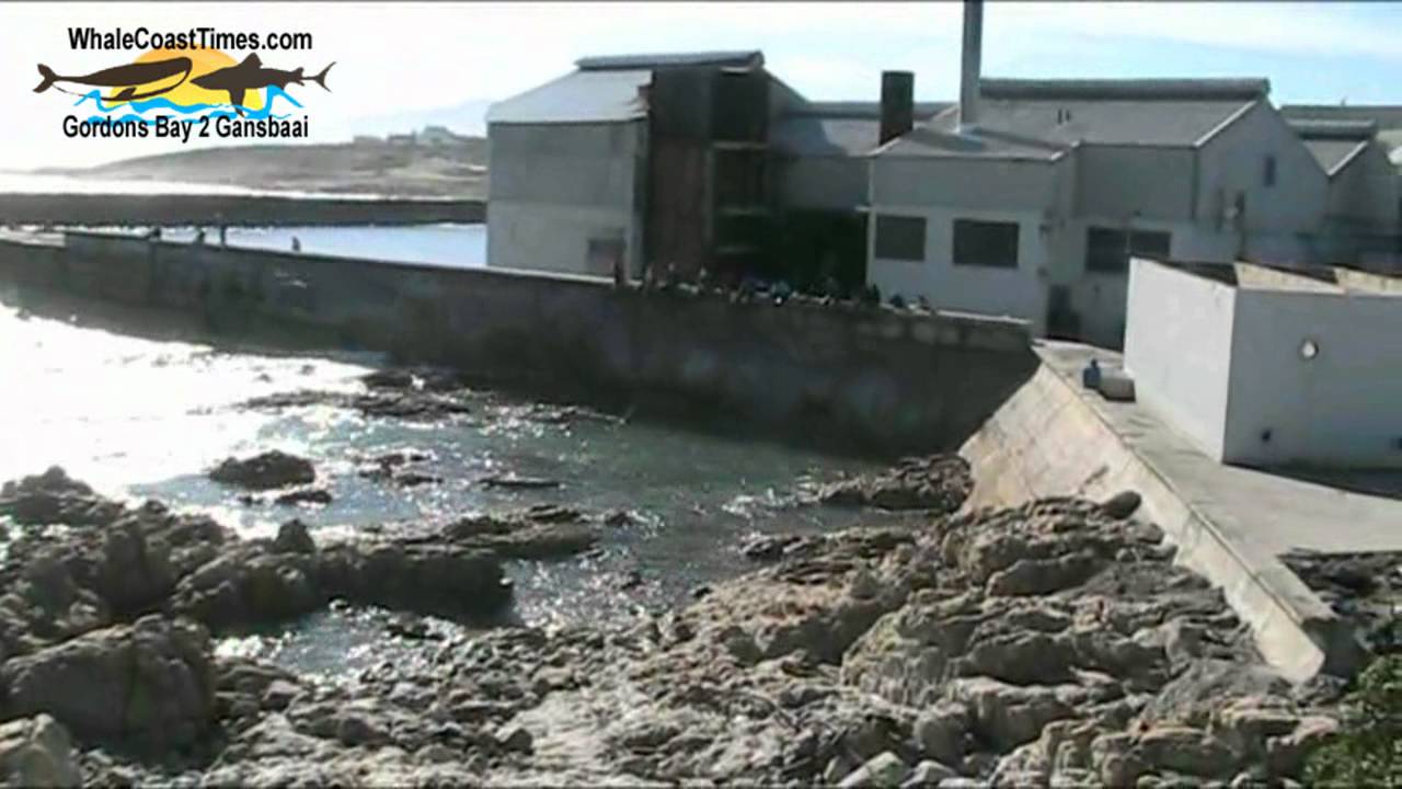 Fishing in Gansbaai - i am just loving it here