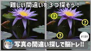 『写真で間違いさがし』の脳トレ！ #189 「池に浮かぶ睡蓮」「青戸の大橋」「紅枝垂地蔵桜」【高難易度】｜Find the difference game in photos screenshot 3