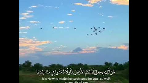 ﴿ هُوَ الَّذِي جَعَلَ لَكُمُ الْأَرْضَ ذَلُولًا فَامْشُوا فِي مَنَاكِبِهَا ﴾ القارئ بشير عبدالله