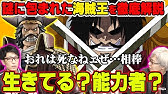 ワンピース 海軍中将まとめ 意外と強い海軍の中核 強さの秘訣 能力などを紹介 Youtube