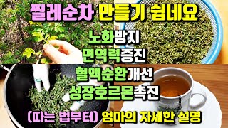 여자한테정말좋은. 찔레순차. 찔레차. 따는 것부터 자세히 보여드릴게요.