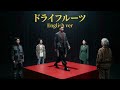 櫻坂46『ドライフルーツ』English Cover