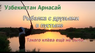 Рыбалка в пустыне или бешенный клёв дикого сазана Узбекистан. fishing in a wild river in Uzbekistan