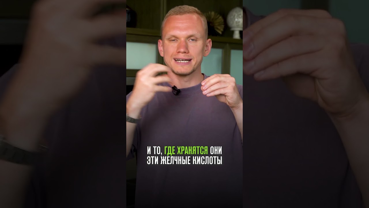 Желчный пузырь должен работать так 