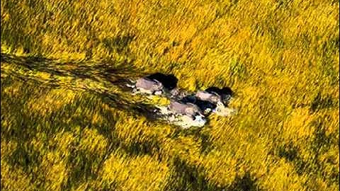 Armand Amar - La Terre vue du ciel